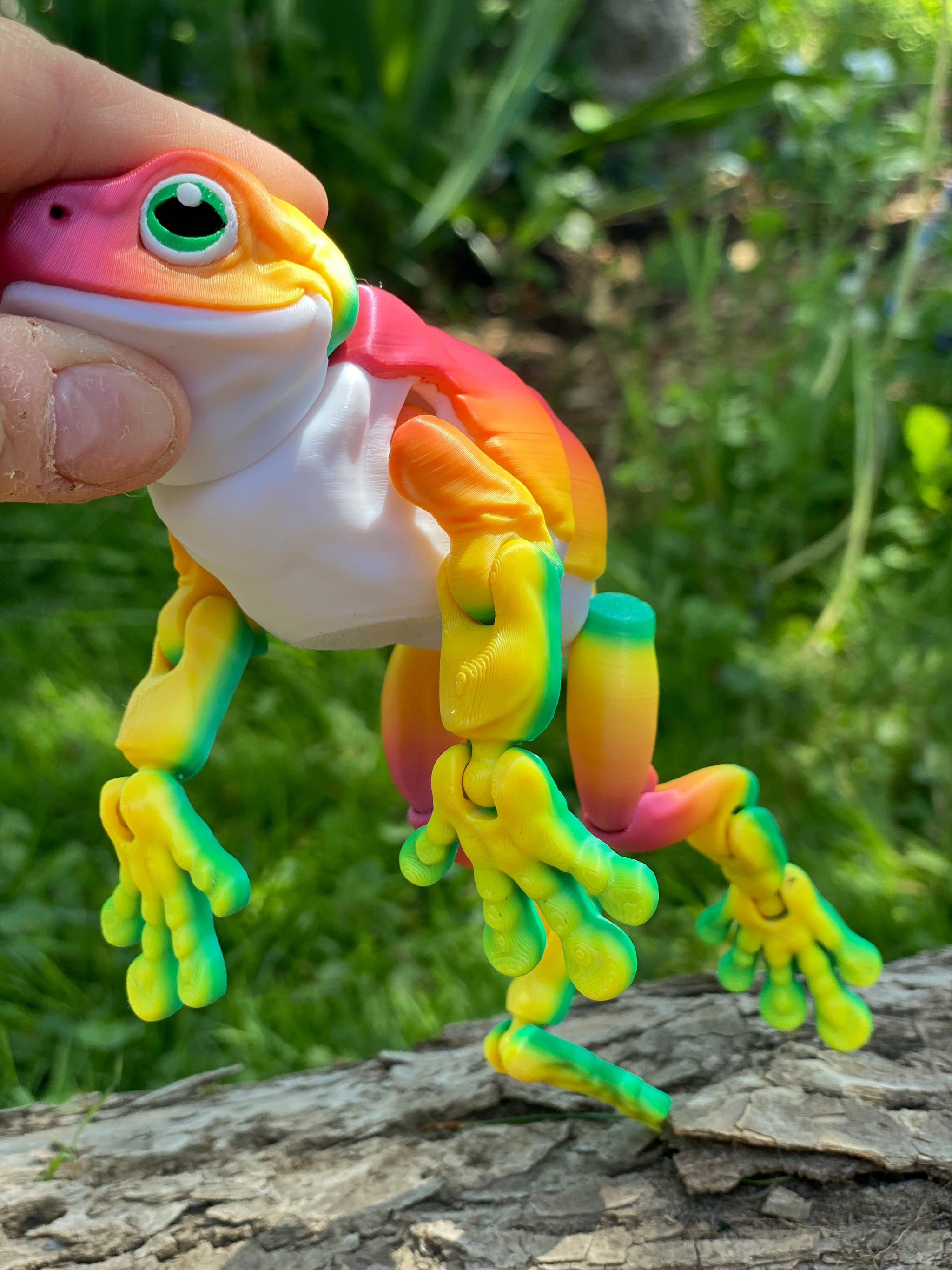 Articulated White Belly Tree Frog – Canadian Cutters