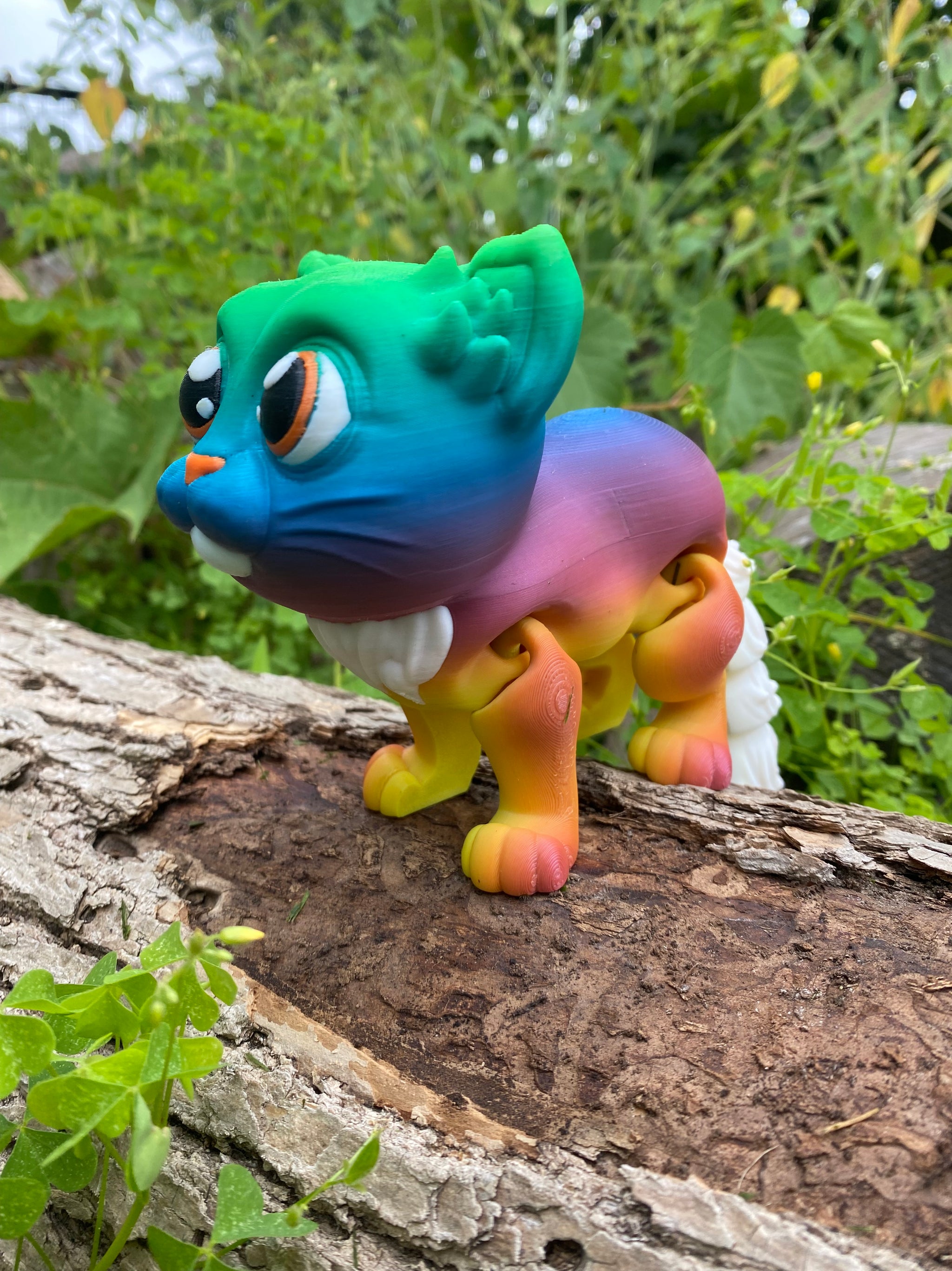 Cosmic Kitty
