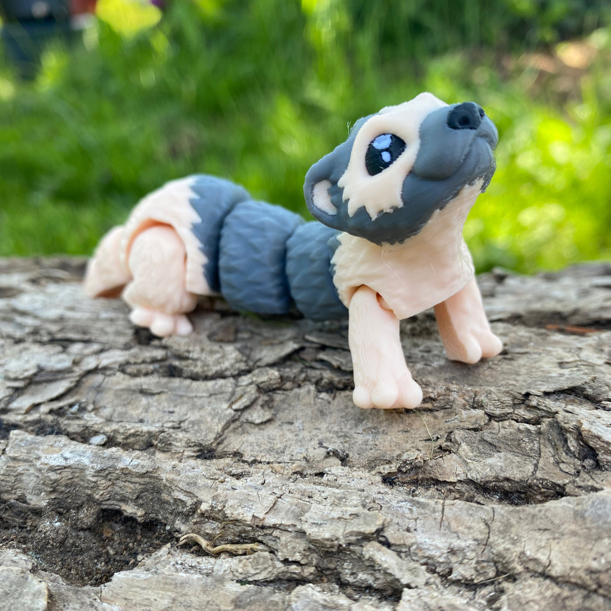 Mini Baby Ferret