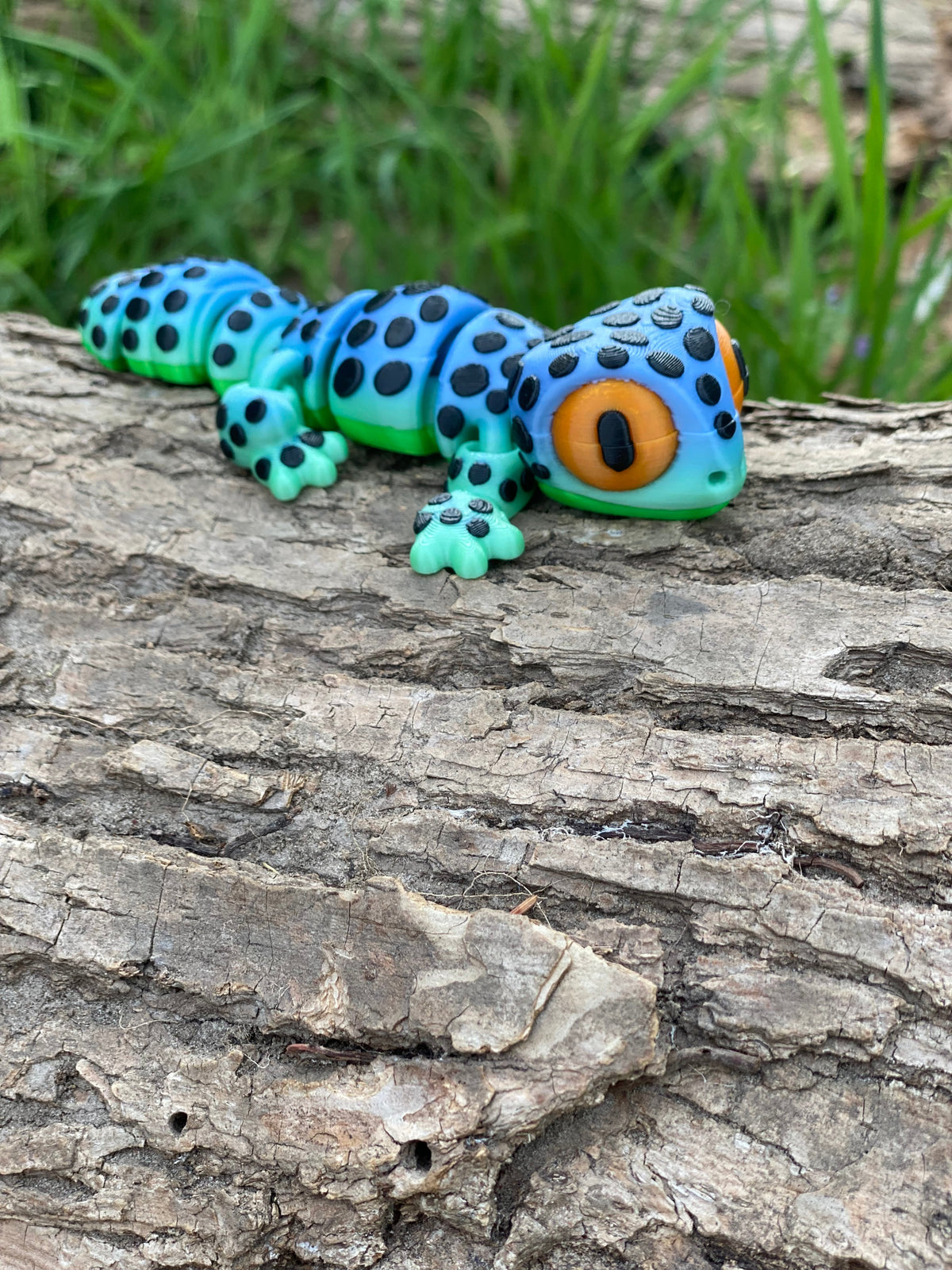 Small Leopard Gecko – product image 3